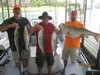 (07/12/2014) - Nice Striped Bass